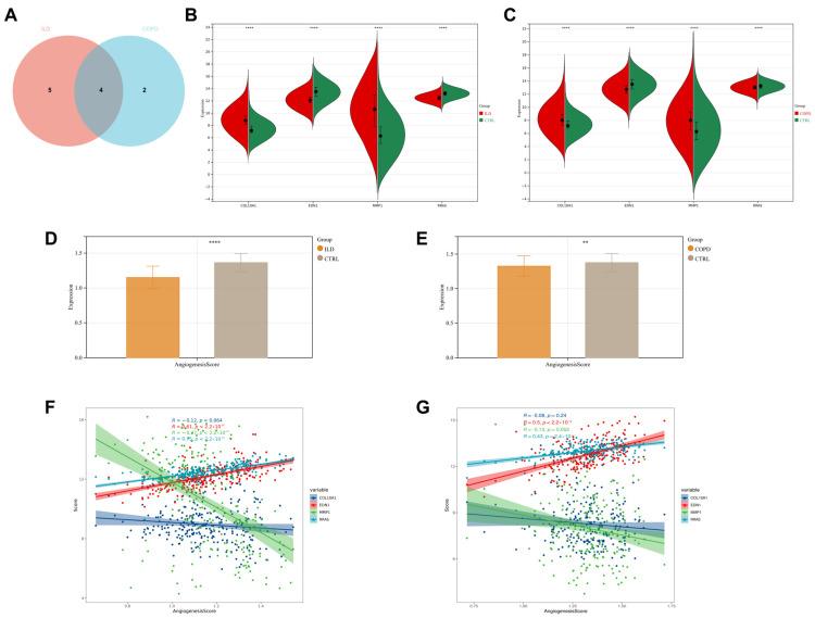 https://cdn.ncbi.nlm.nih.gov/pmc/blobs/ac0b/11852874/1237447ad667/biomedicines-13-00331-g006.jpg