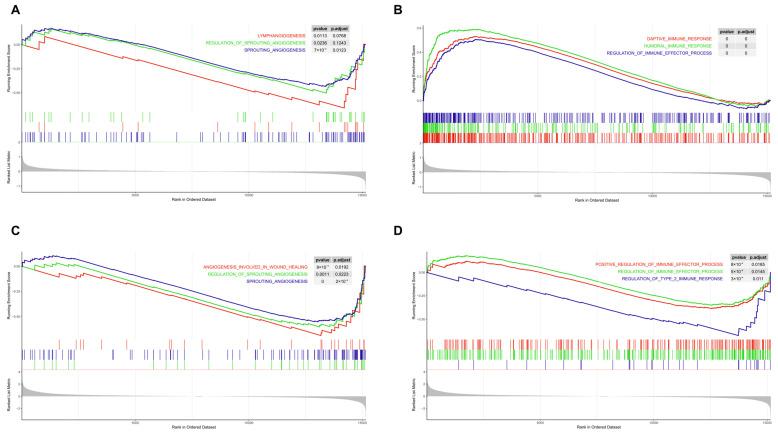 https://cdn.ncbi.nlm.nih.gov/pmc/blobs/ac0b/11852874/3c1a60bb00d0/biomedicines-13-00331-g001.jpg