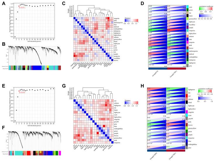 https://cdn.ncbi.nlm.nih.gov/pmc/blobs/ac0b/11852874/5f1eba8e0900/biomedicines-13-00331-g003.jpg