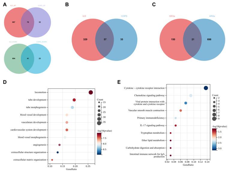 https://cdn.ncbi.nlm.nih.gov/pmc/blobs/ac0b/11852874/f0f09d8054d7/biomedicines-13-00331-g004.jpg