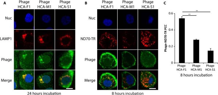 https://cdn.ncbi.nlm.nih.gov/pmc/blobs/ac0b/4256486/7a032e29cfe6/zjw0121448980003.jpg