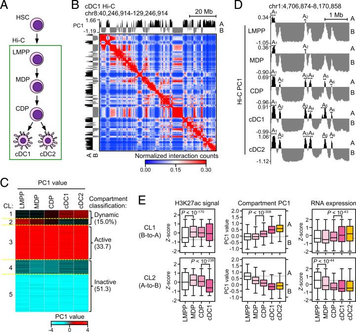 https://cdn.ncbi.nlm.nih.gov/pmc/blobs/ac0c/9407307/d1e8f08749ed/pnas.2207009119fig01.jpg