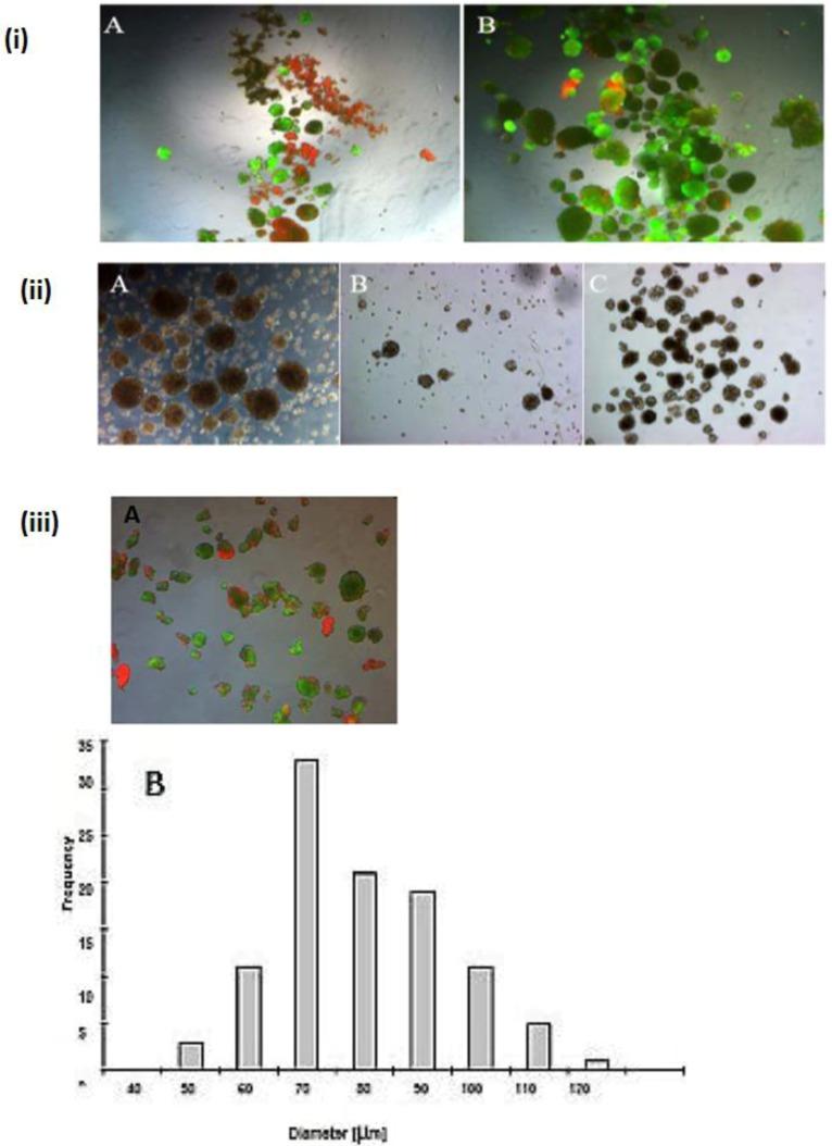 https://cdn.ncbi.nlm.nih.gov/pmc/blobs/ac0e/4030890/585de224cab1/biomolecules-03-00242-g006.jpg