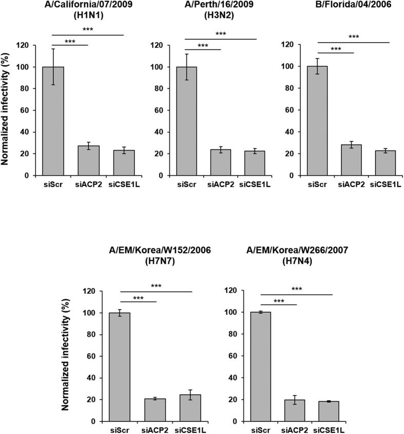 https://cdn.ncbi.nlm.nih.gov/pmc/blobs/ac0e/5341025/50b342fbebac/srep43893-f3.jpg