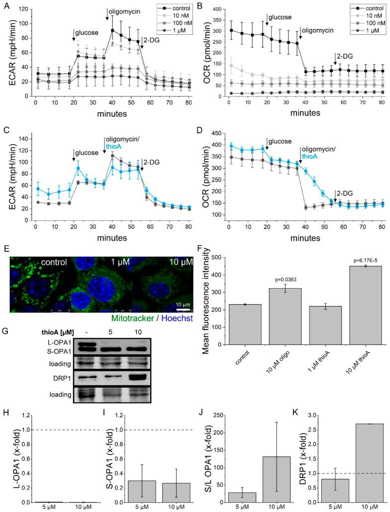 https://cdn.ncbi.nlm.nih.gov/pmc/blobs/ac0e/7281193/c0e5afac9ca9/cancers-12-01288-g003.jpg