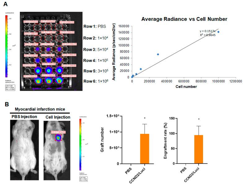 https://cdn.ncbi.nlm.nih.gov/pmc/blobs/ac0e/8946017/b9ad5db4ed3d/cells-11-00951-g003.jpg