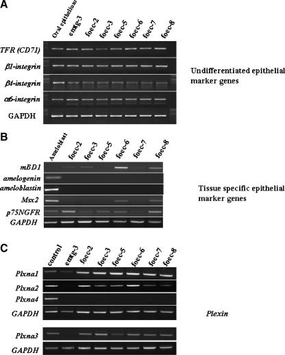 https://cdn.ncbi.nlm.nih.gov/pmc/blobs/ac0f/2862945/b060908f745e/11626_2009_9265_Fig3_HTML.jpg