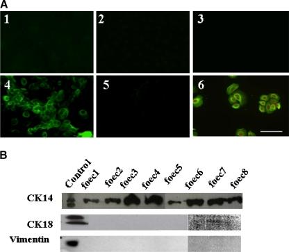 https://cdn.ncbi.nlm.nih.gov/pmc/blobs/ac0f/2862945/b67cb0779964/11626_2009_9265_Fig2_HTML.jpg