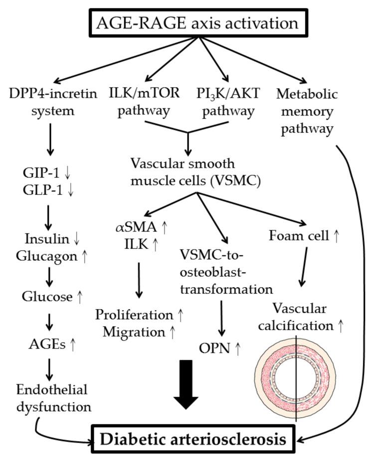 https://cdn.ncbi.nlm.nih.gov/pmc/blobs/ac0f/7729569/4e58178cf399/molecules-25-05591-g004.jpg