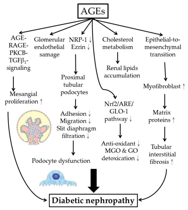 https://cdn.ncbi.nlm.nih.gov/pmc/blobs/ac0f/7729569/ee69f4595ba8/molecules-25-05591-g005.jpg
