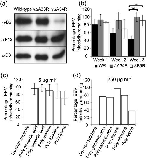 https://cdn.ncbi.nlm.nih.gov/pmc/blobs/ac12/2885056/8c1163dcdbfc/1582fig1.jpg