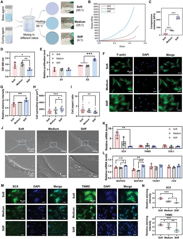 https://cdn.ncbi.nlm.nih.gov/pmc/blobs/ac14/10265049/777777b7ae79/ADVS-10-2206814-g004.jpg