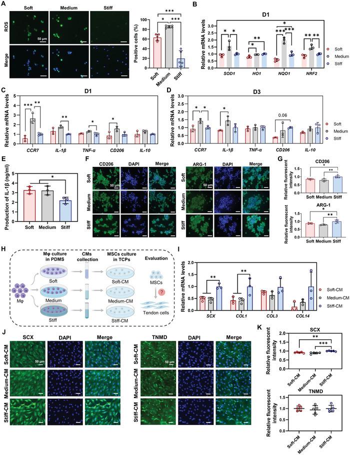 https://cdn.ncbi.nlm.nih.gov/pmc/blobs/ac14/10265049/8126ad843f25/ADVS-10-2206814-g002.jpg