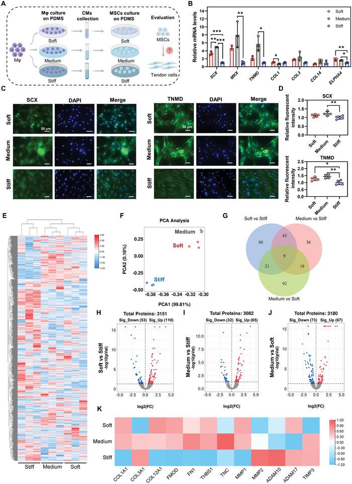 https://cdn.ncbi.nlm.nih.gov/pmc/blobs/ac14/10265049/e568bfef440e/ADVS-10-2206814-g001.jpg