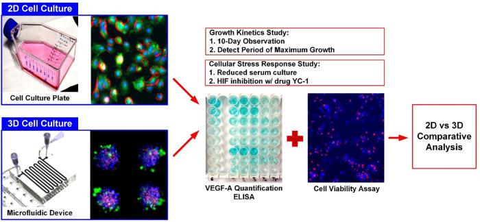 https://cdn.ncbi.nlm.nih.gov/pmc/blobs/ac18/7657494/a114ae1a6af9/pone.0240833.g002.jpg