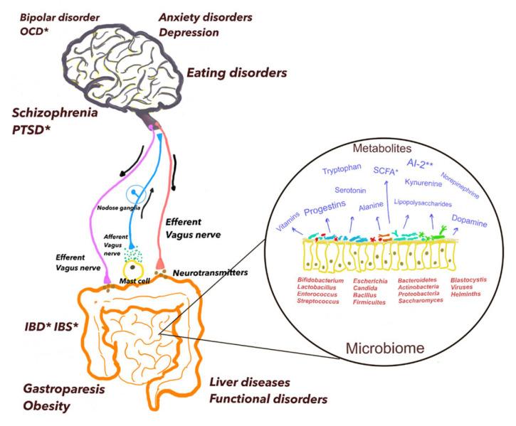 https://cdn.ncbi.nlm.nih.gov/pmc/blobs/ac1c/11394554/2175a378687d/cells-13-01436-g001.jpg