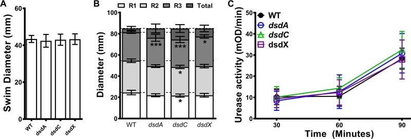 https://cdn.ncbi.nlm.nih.gov/pmc/blobs/ac1c/6393727/7627968bb454/mSphere.00020-19-f0005.jpg