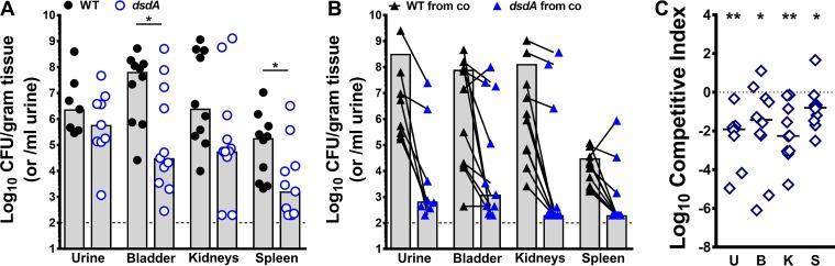 https://cdn.ncbi.nlm.nih.gov/pmc/blobs/ac1c/6393727/957f878746d5/mSphere.00020-19-f0006.jpg