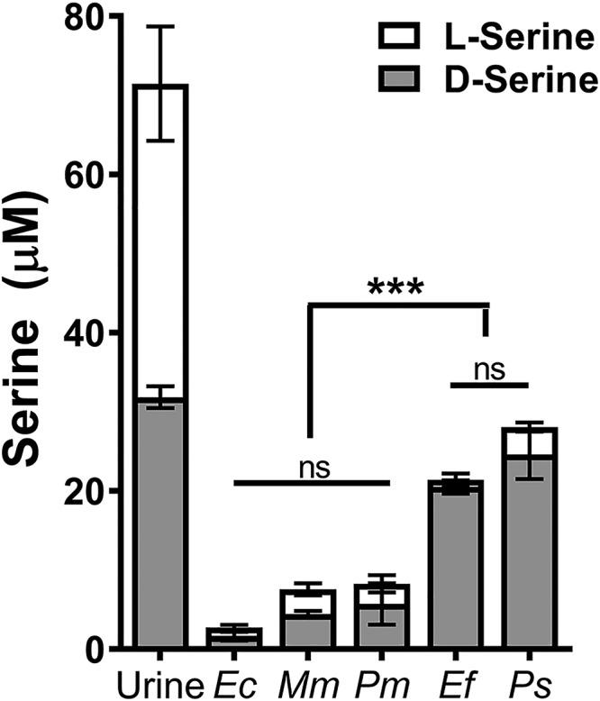 https://cdn.ncbi.nlm.nih.gov/pmc/blobs/ac1c/6393727/9687b441fedc/mSphere.00020-19-f0008.jpg