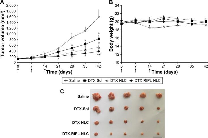 https://cdn.ncbi.nlm.nih.gov/pmc/blobs/ac1d/5987859/321dc44803d1/ijn-13-3263Fig8.jpg