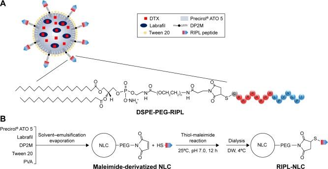 https://cdn.ncbi.nlm.nih.gov/pmc/blobs/ac1d/5987859/708d6fe4fa7d/ijn-13-3263Fig1.jpg