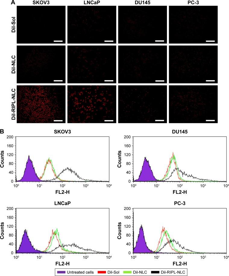 https://cdn.ncbi.nlm.nih.gov/pmc/blobs/ac1d/5987859/e8d81a123ce3/ijn-13-3263Fig5.jpg