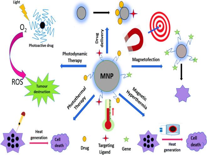 https://cdn.ncbi.nlm.nih.gov/pmc/blobs/ac1e/12128481/34277d8554de/40001_2025_2696_Fig5_HTML.jpg