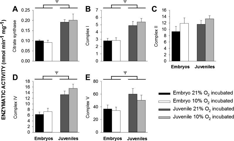 https://cdn.ncbi.nlm.nih.gov/pmc/blobs/ac1e/5256979/8bd4f0387d3e/zh60171691570004.jpg