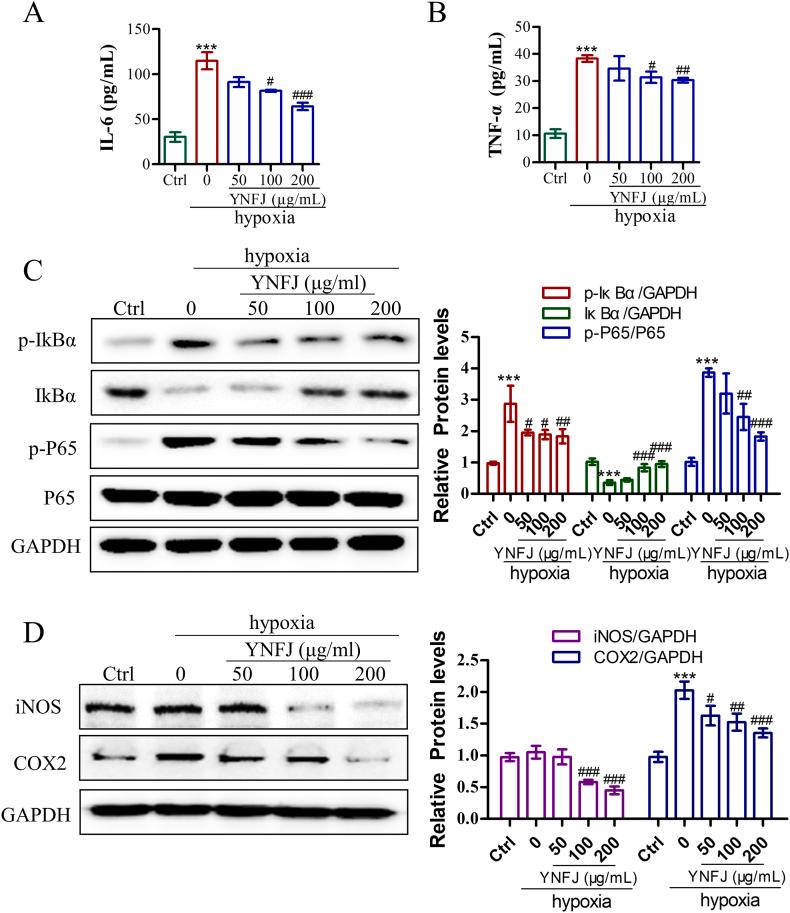 https://cdn.ncbi.nlm.nih.gov/pmc/blobs/ac1f/10776953/3a0c3530b901/gr10.jpg