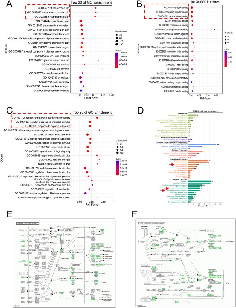 https://cdn.ncbi.nlm.nih.gov/pmc/blobs/ac1f/10776953/41fa15e6c7a6/gr6.jpg