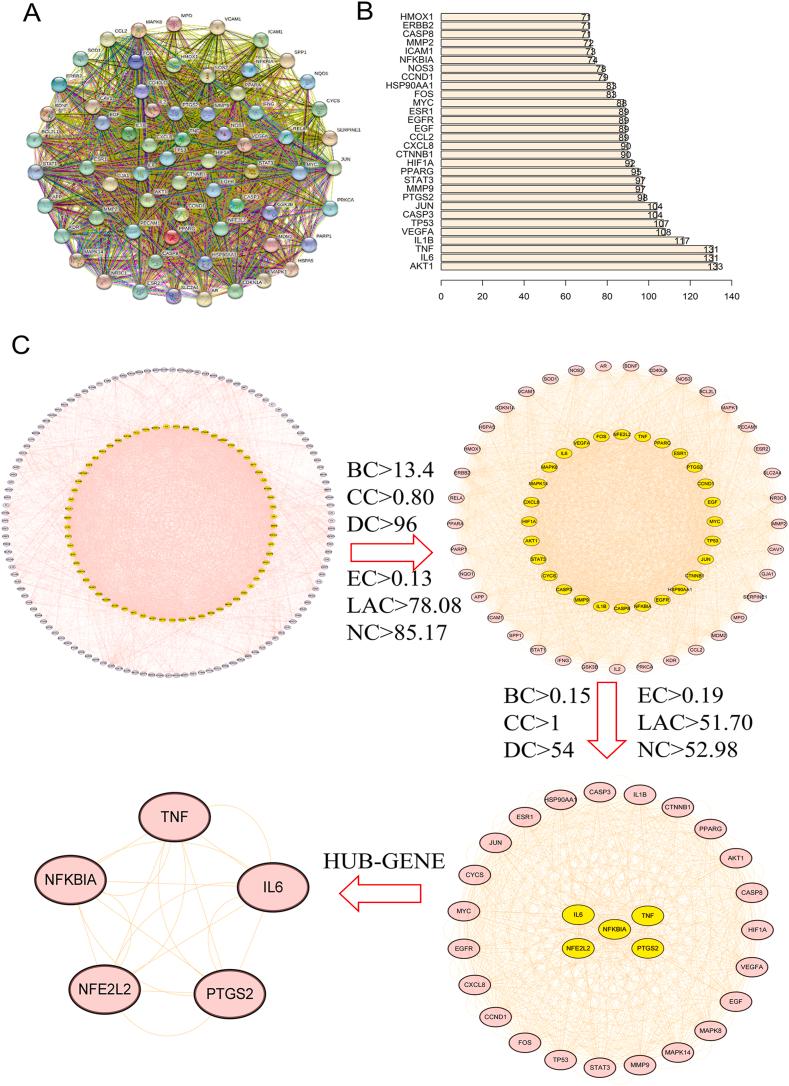 https://cdn.ncbi.nlm.nih.gov/pmc/blobs/ac1f/10776953/56a4d80fcf78/gr5.jpg