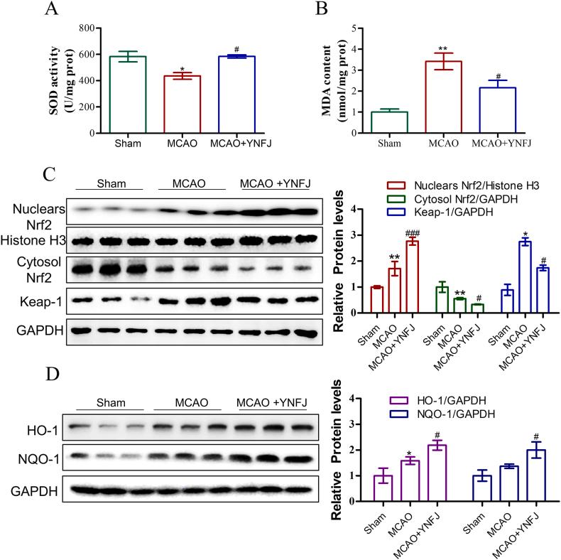 https://cdn.ncbi.nlm.nih.gov/pmc/blobs/ac1f/10776953/74ffe2e39755/gr9.jpg