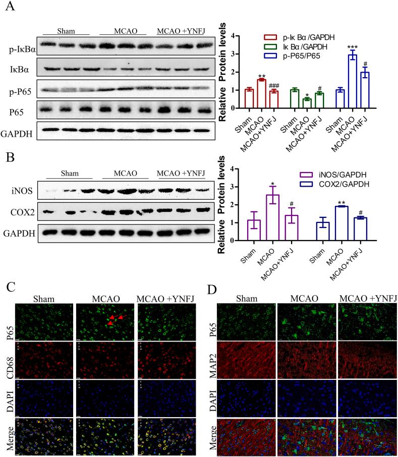 https://cdn.ncbi.nlm.nih.gov/pmc/blobs/ac1f/10776953/ae48a8f0ae26/gr8.jpg