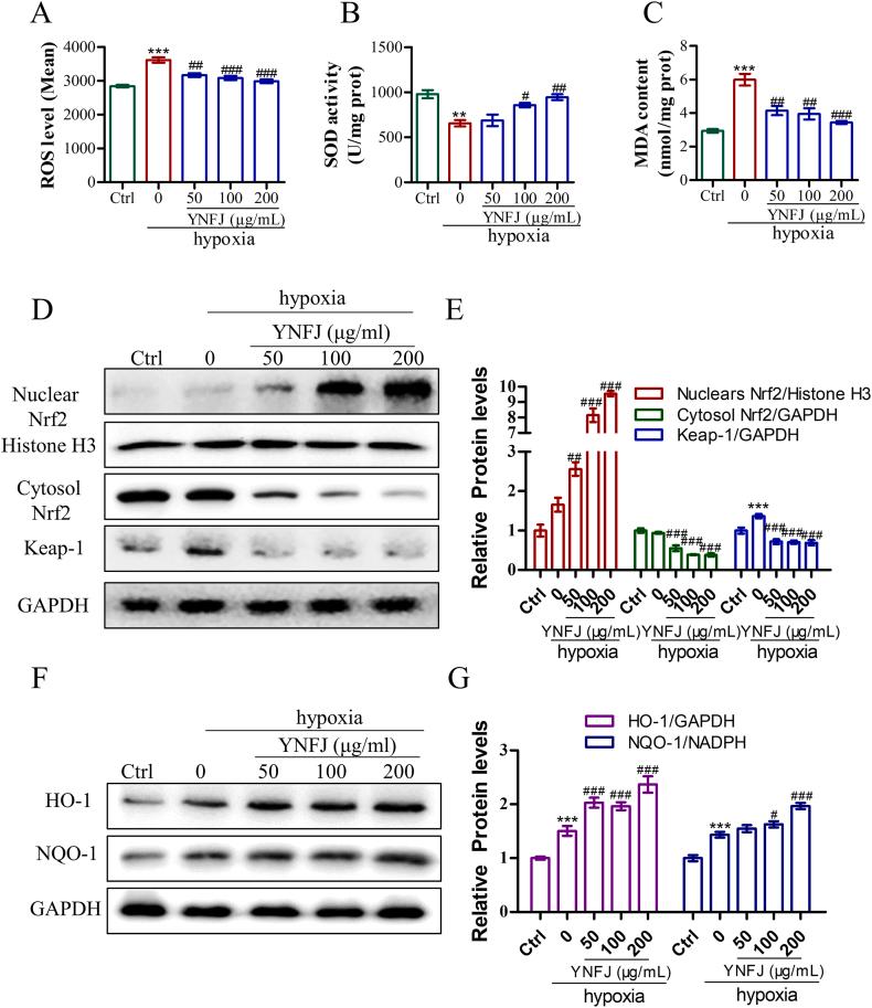 https://cdn.ncbi.nlm.nih.gov/pmc/blobs/ac1f/10776953/edea0f422f38/gr11.jpg