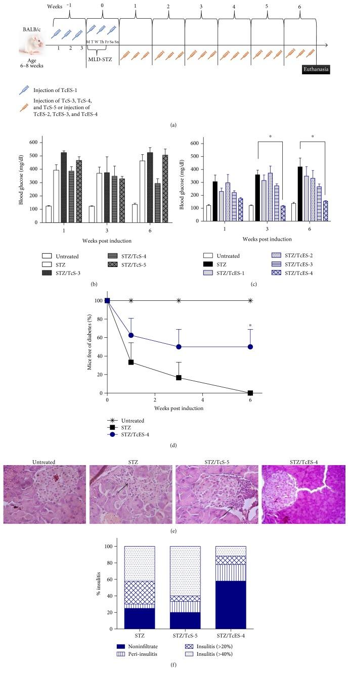 https://cdn.ncbi.nlm.nih.gov/pmc/blobs/ac21/5698814/38afffd93820/MI2017-8074329.005.jpg