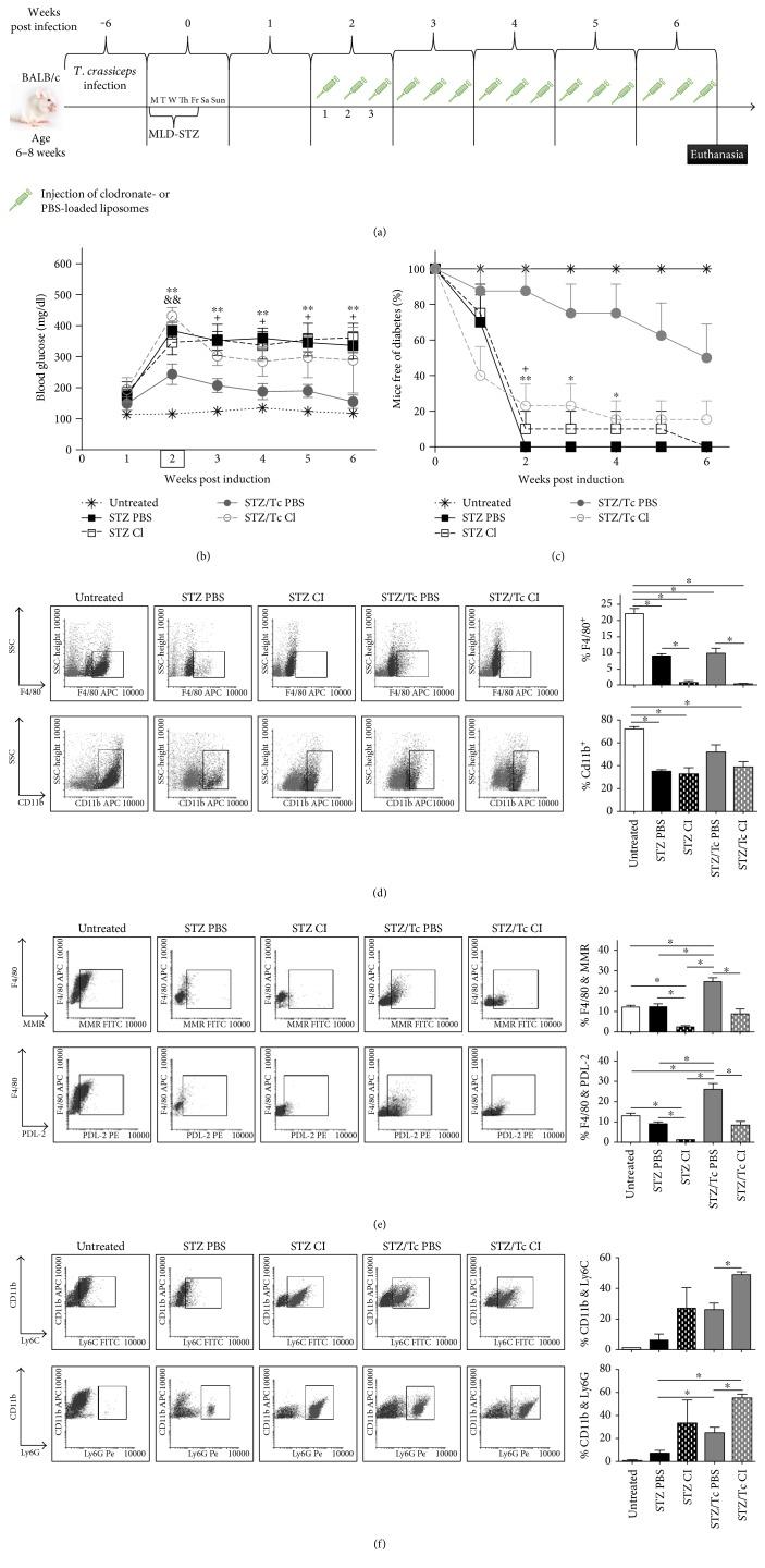 https://cdn.ncbi.nlm.nih.gov/pmc/blobs/ac21/5698814/7269dee4610f/MI2017-8074329.007.jpg
