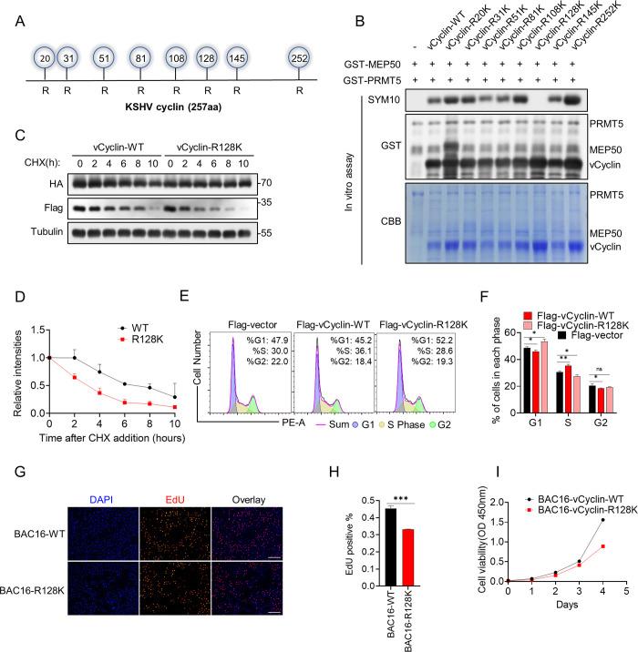 https://cdn.ncbi.nlm.nih.gov/pmc/blobs/ac22/11421797/7a495bf8af42/ppat.1012535.g006.jpg