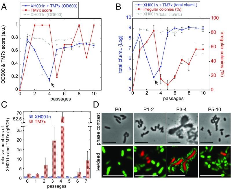 https://cdn.ncbi.nlm.nih.gov/pmc/blobs/ac22/6275545/c9c5ffcf97b5/pnas.1810625115fig03.jpg