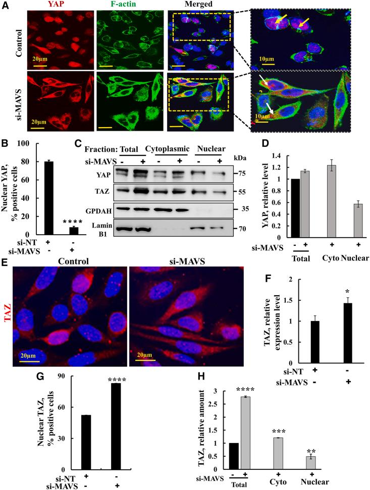 https://cdn.ncbi.nlm.nih.gov/pmc/blobs/ac23/10468804/35ff243ac793/gr7.jpg
