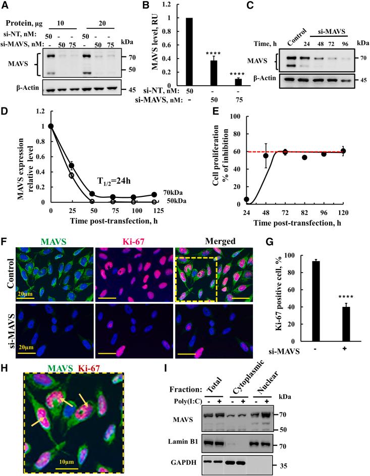 https://cdn.ncbi.nlm.nih.gov/pmc/blobs/ac23/10468804/78e11171fb88/gr3.jpg