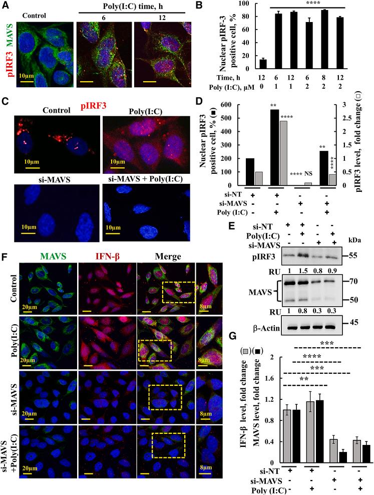 https://cdn.ncbi.nlm.nih.gov/pmc/blobs/ac23/10468804/c311931522a6/gr4.jpg