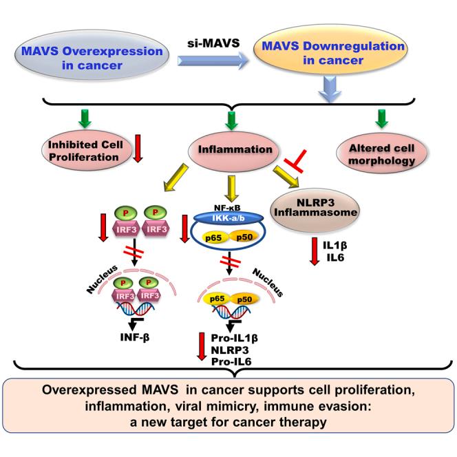 https://cdn.ncbi.nlm.nih.gov/pmc/blobs/ac23/10468804/ecc0eed95810/fx1.jpg