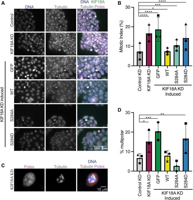 https://cdn.ncbi.nlm.nih.gov/pmc/blobs/ac25/10896213/5c0512547761/fmolb-11-1328077-g003.jpg