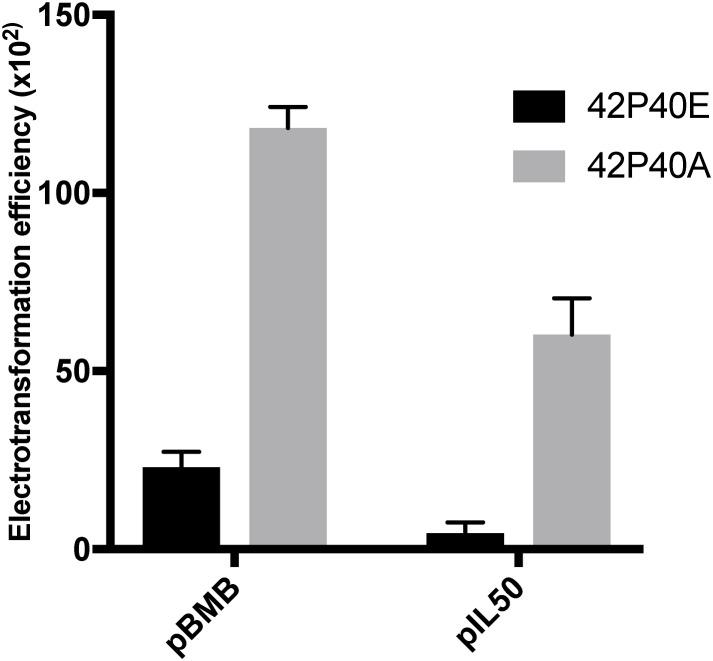 https://cdn.ncbi.nlm.nih.gov/pmc/blobs/ac25/6400870/93ab7644caac/fmicb-10-00082-g003.jpg