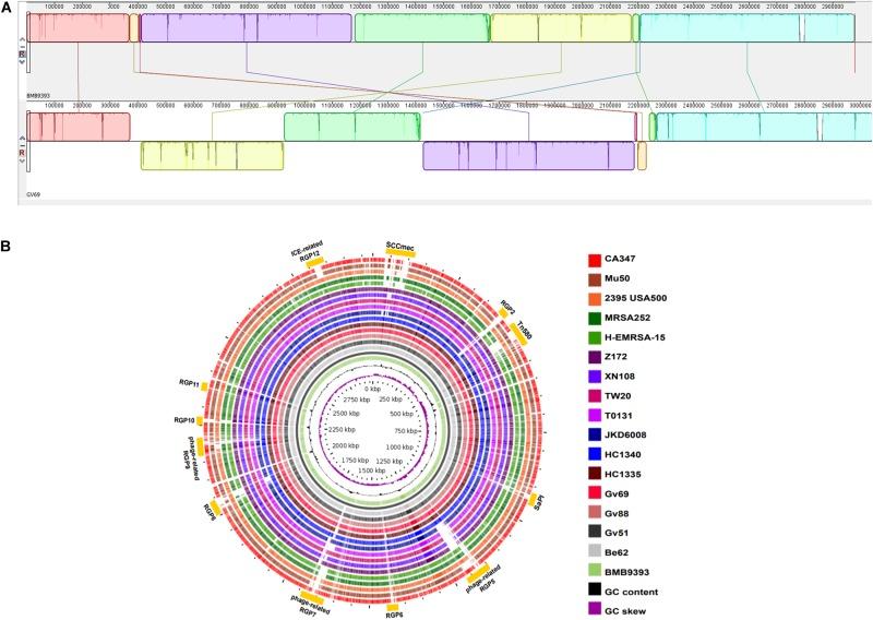 https://cdn.ncbi.nlm.nih.gov/pmc/blobs/ac25/6400870/fc45267e9119/fmicb-10-00082-g001.jpg