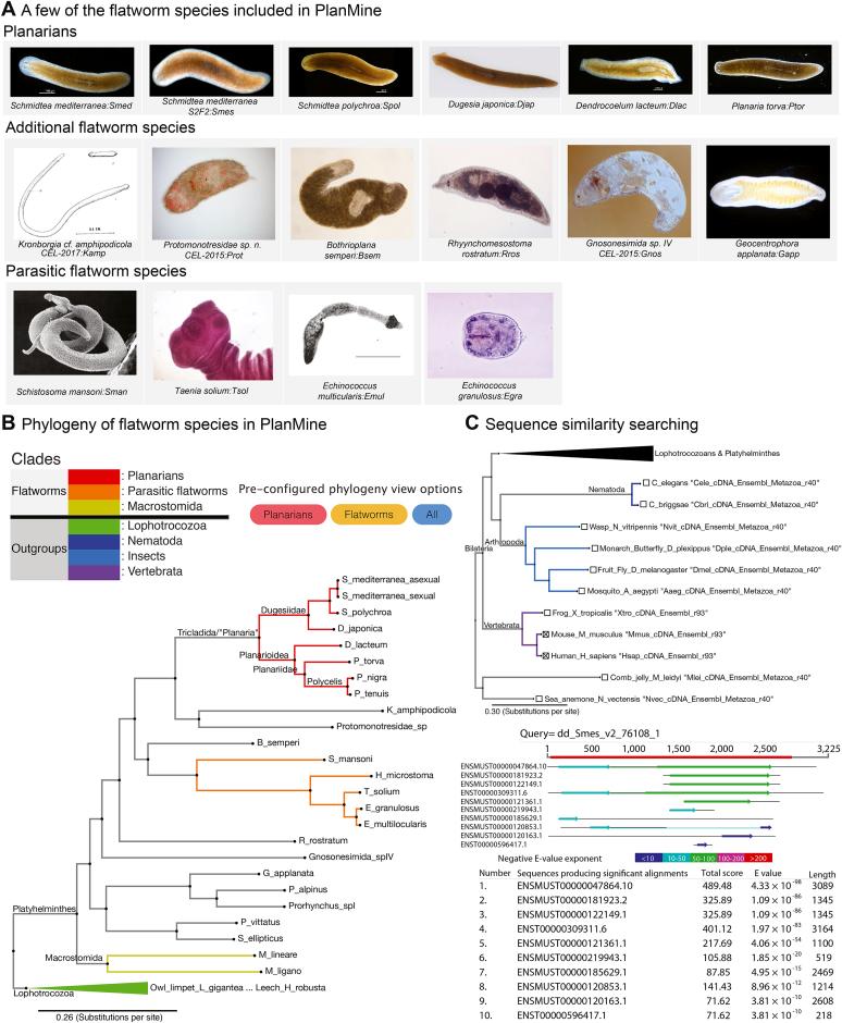 https://cdn.ncbi.nlm.nih.gov/pmc/blobs/ac26/6324014/948136b6de7c/gky1070fig4.jpg