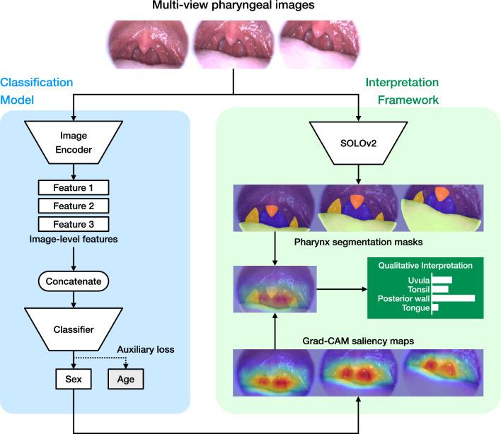 https://cdn.ncbi.nlm.nih.gov/pmc/blobs/ac2a/11297026/79e41bf539df/41598_2024_68817_Fig2_HTML.jpg