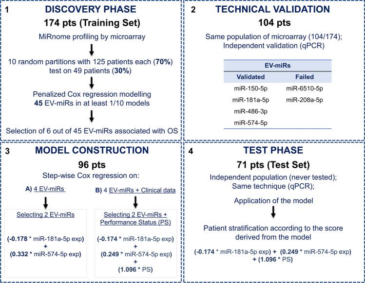 https://cdn.ncbi.nlm.nih.gov/pmc/blobs/ac2c/11303437/1dd92dca70e3/10238_2024_1427_Fig2_HTML.jpg
