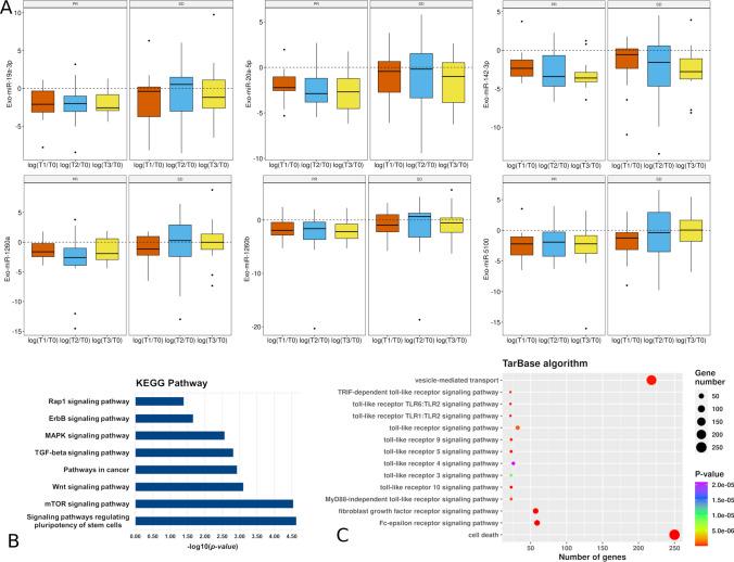https://cdn.ncbi.nlm.nih.gov/pmc/blobs/ac2c/11303437/a85668d056e5/10238_2024_1427_Fig6_HTML.jpg