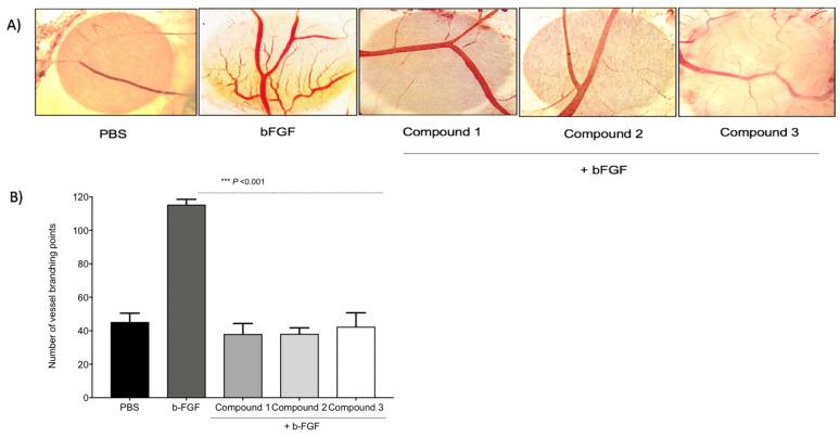 https://cdn.ncbi.nlm.nih.gov/pmc/blobs/ac2c/8199894/059825f96eb0/cancers-13-02780-g005.jpg